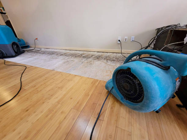 Professional Water Removal technician working in Hawthorne, CA